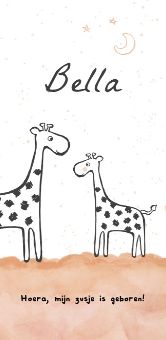 Geboortekaartje met giraffen
