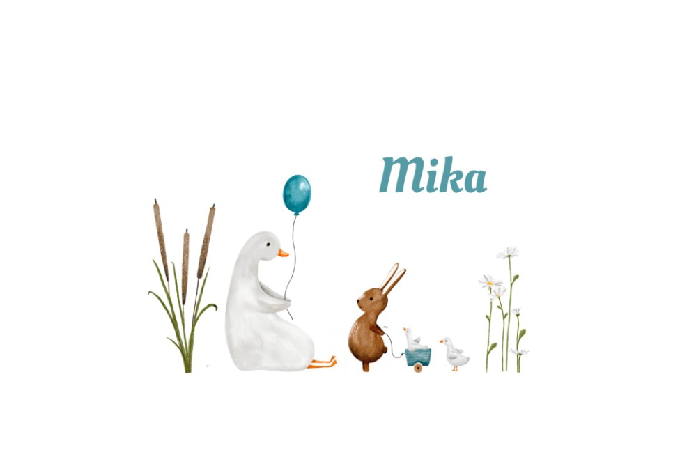 Geboortekaartje gans