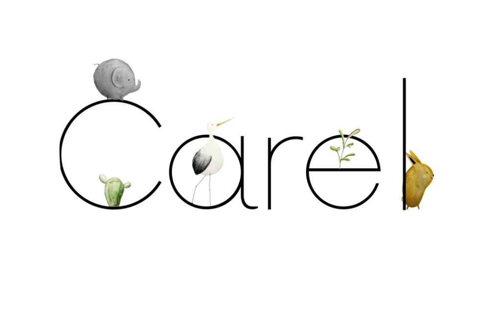 Geboortekaartje naam met dieren