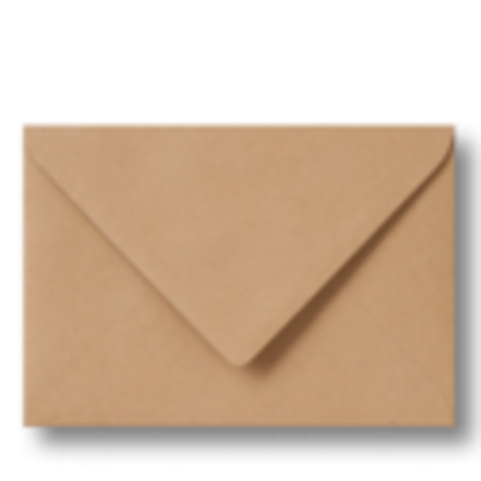 Envelop kraft 15,6 x 22