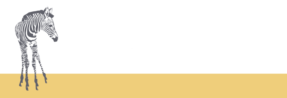 Adresetiket Zebra Zon