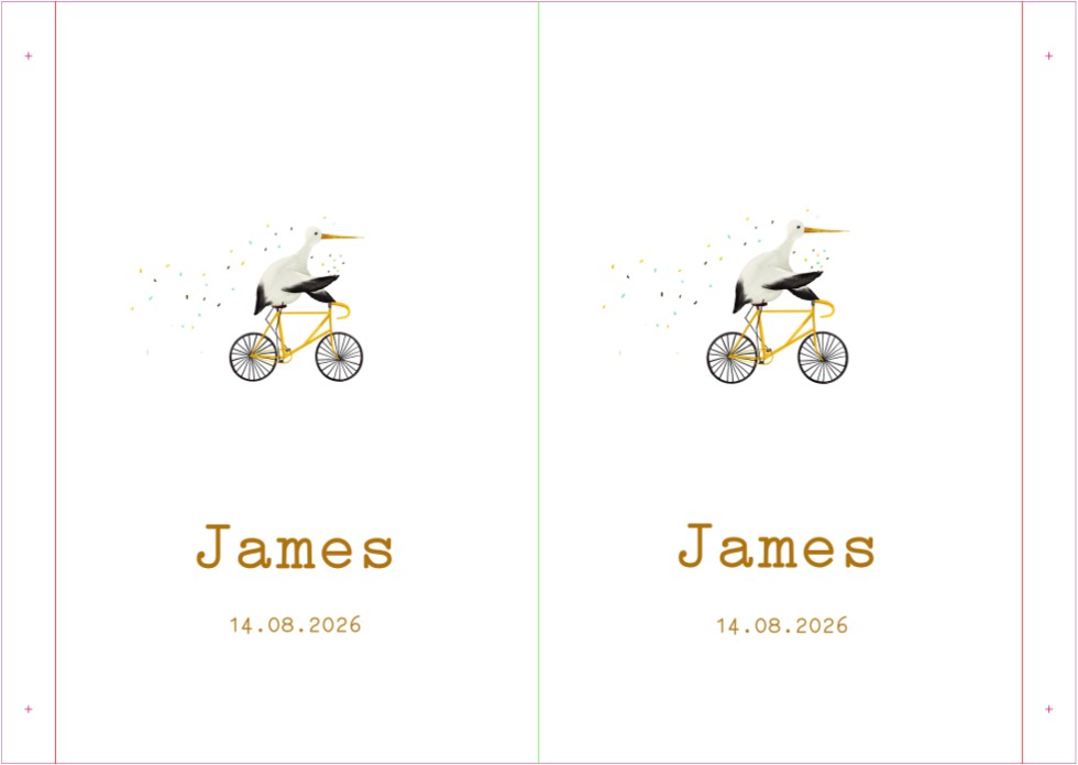 Raambord ooievaar op fiets