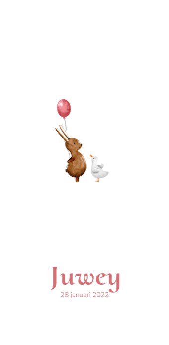 Geboortekaartje konijn