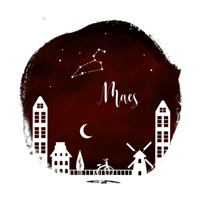 Geboortekaartje holland stad - Maes