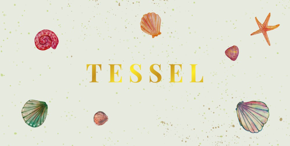 Geboortekaartje schelpen