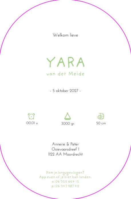 Geboortekaartje ooievaar in luchtballon