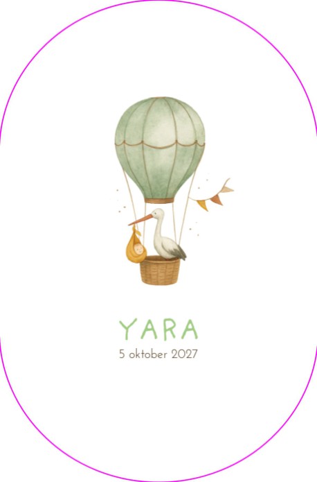 Geboortekaartje ooievaar in luchtballon