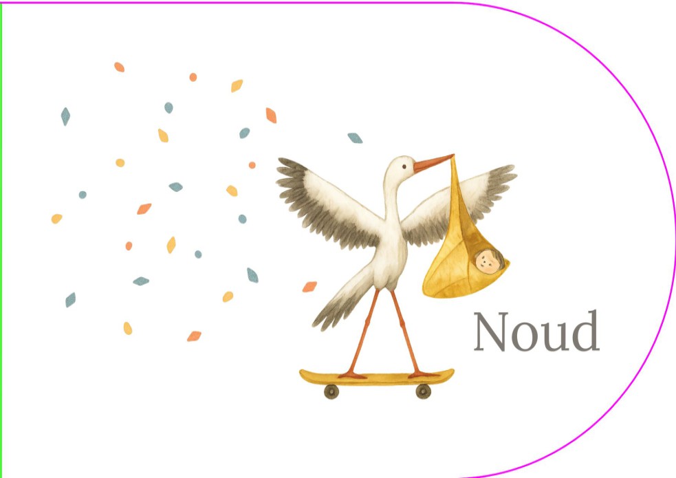 Geboortekaartje ooievaar skateboard