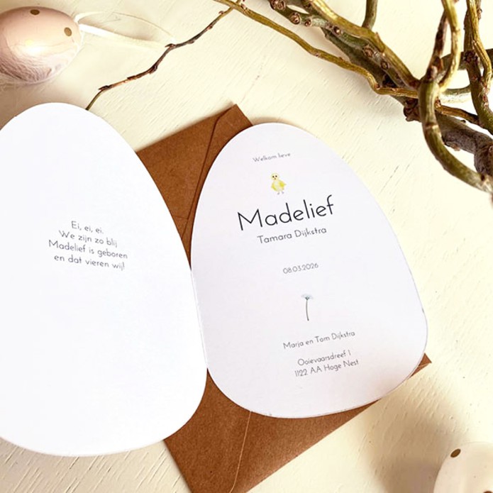 Geboortekaartje kuiken