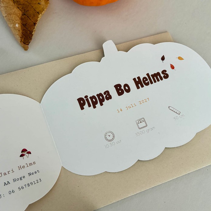 Geboortekaartje in vorm van een pompoen