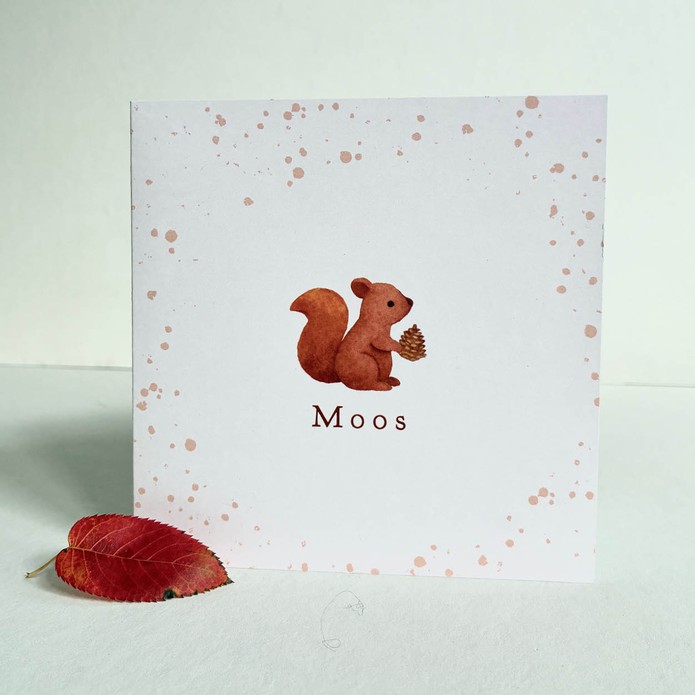 Geboortekaartje eekhoorn