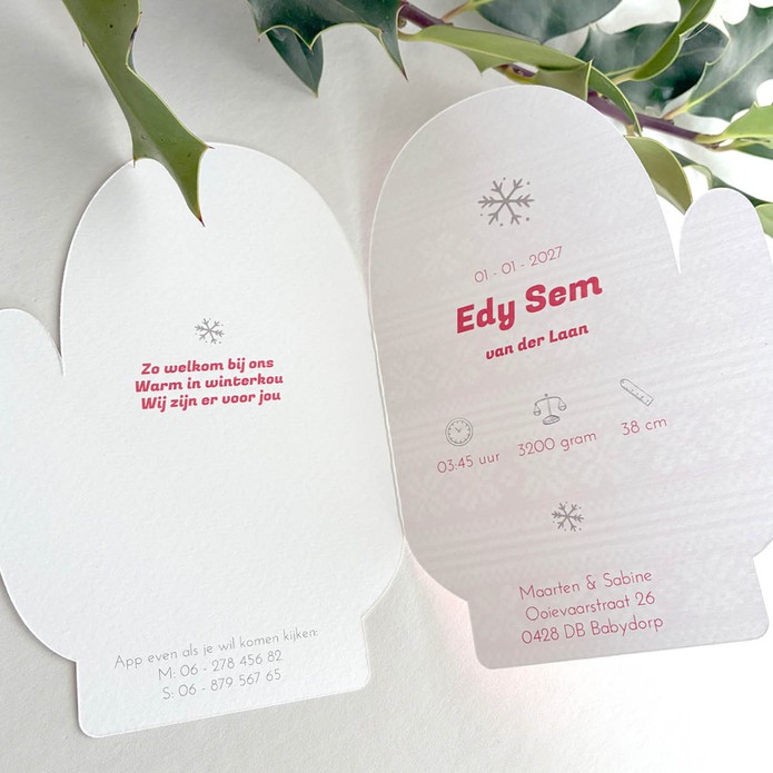 Geboortekaartje ski alpen