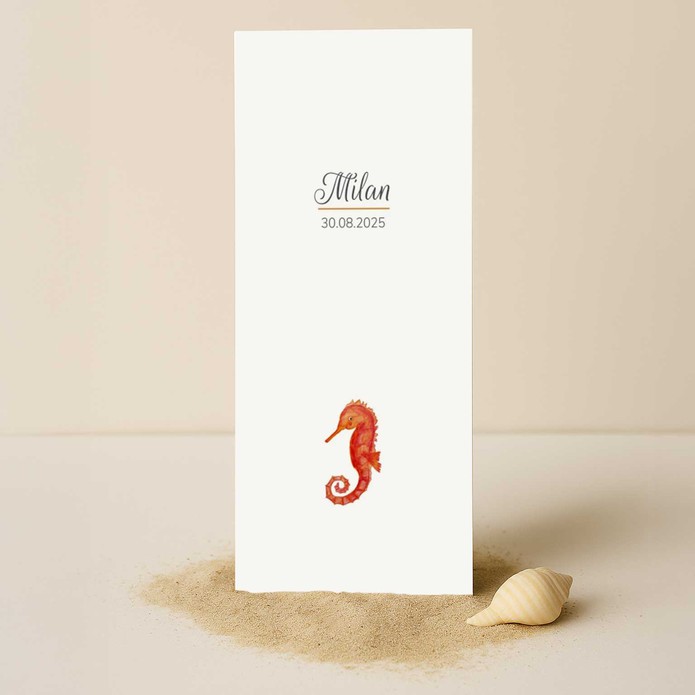 Geboortekaartje zeepaardje