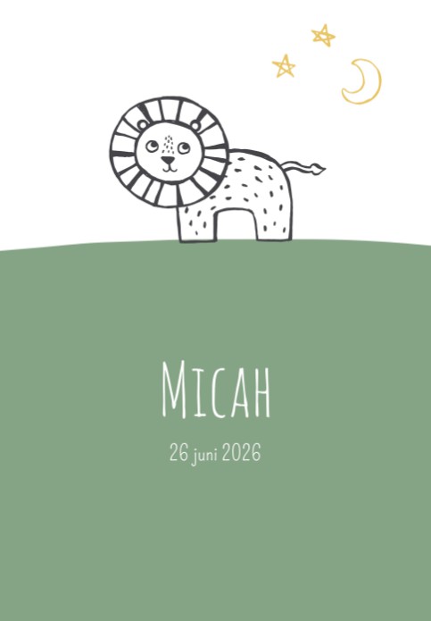 Geboorteposter leeuw