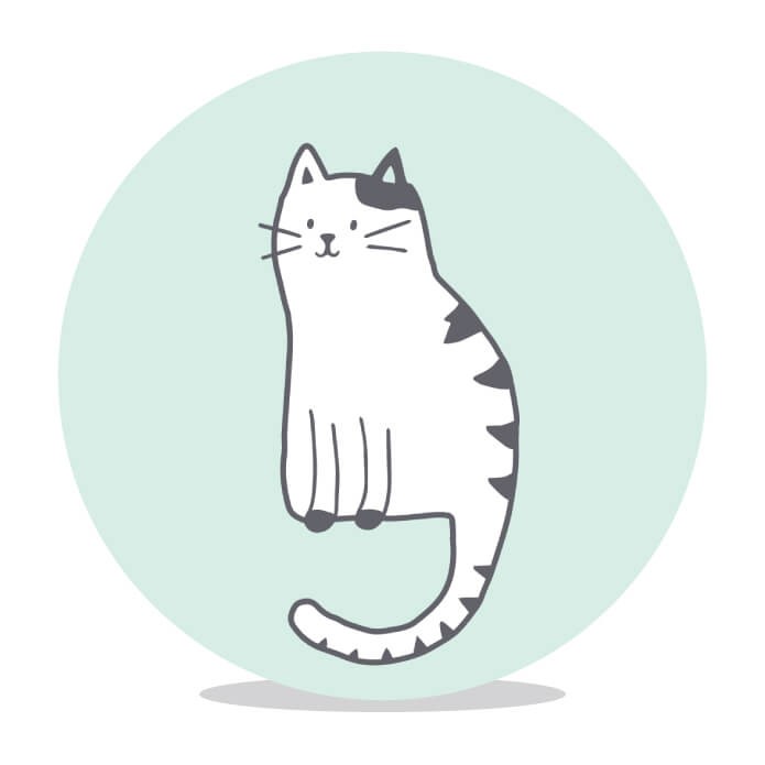 Sluitsticker avonturen kat