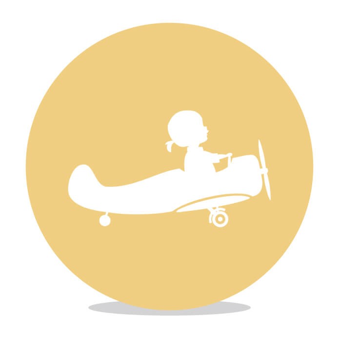 Sluitsticker vliegtuig