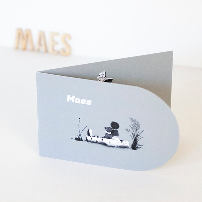 Geboortekaartje blauw met een egel