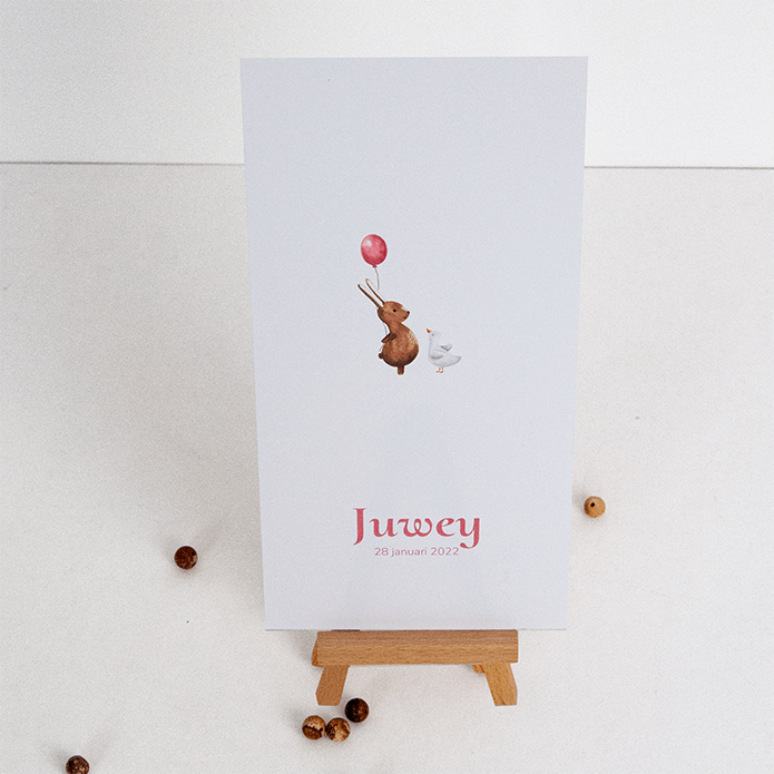 Geboortekaart met konijn en ballon