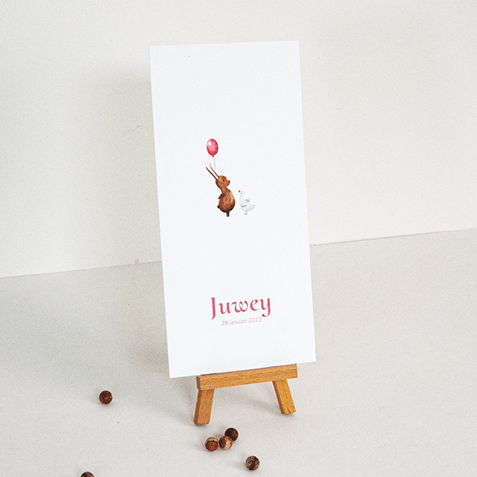 Geboortekaartje met konijntje