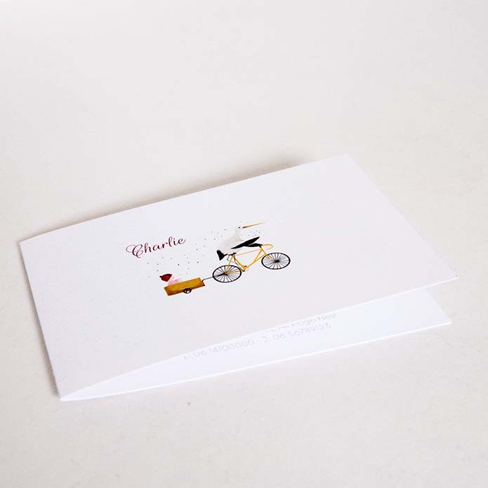 Geboortekaartje met ooievaar 2025