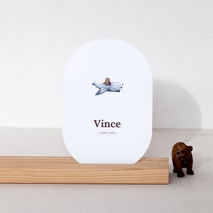 Geboortekaartje Ovaal met vliegtuig