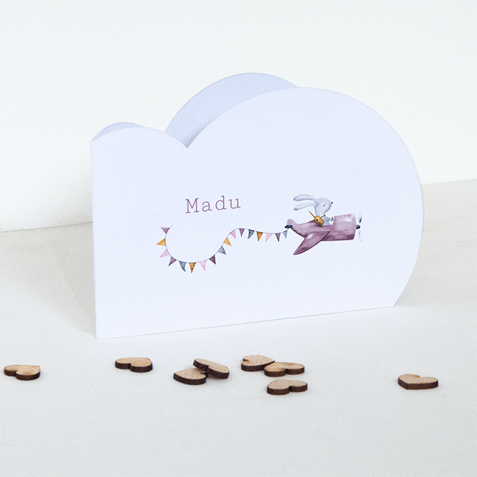 Geboortekaartje met vliegtuig in een wolkvorm