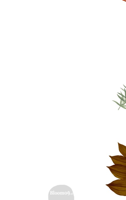 kaart binnenzijde links